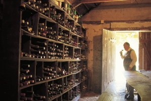 Photo courtesy of Eligible Magazine