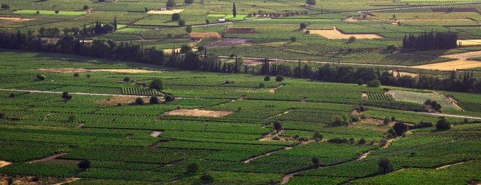 Nemea - Greece _ American Wine Writer _ Benjamin Spencer
