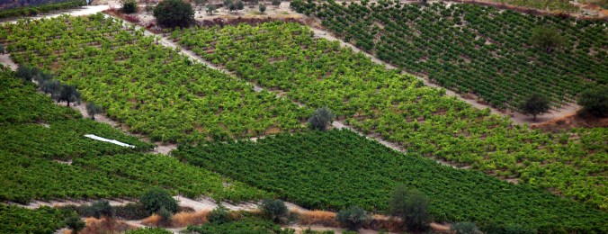 Nemea, Greece, Agiorgitiko – American Wine Writer – Benjamin Spencer