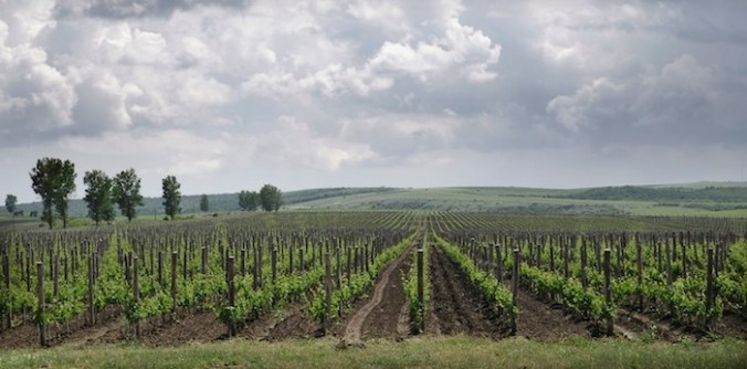 In 2010 I went to Romania to write a story for MUTINEER Magazine. This is a story about that story and the end of an era. Photo courtesy of WineRO.